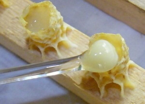 ფუტკრის რძე