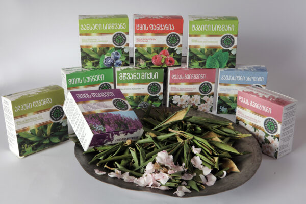 შავი მოცვის ფოთლებისა და ტყის პიტნის ჩაი